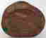 item-121351605=8