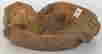 item-121351606=3