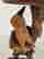 item-121351610=5