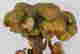 item-121351612=5