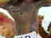item-121351612=9