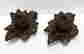 item-121351856=2