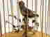 item-128970333=2