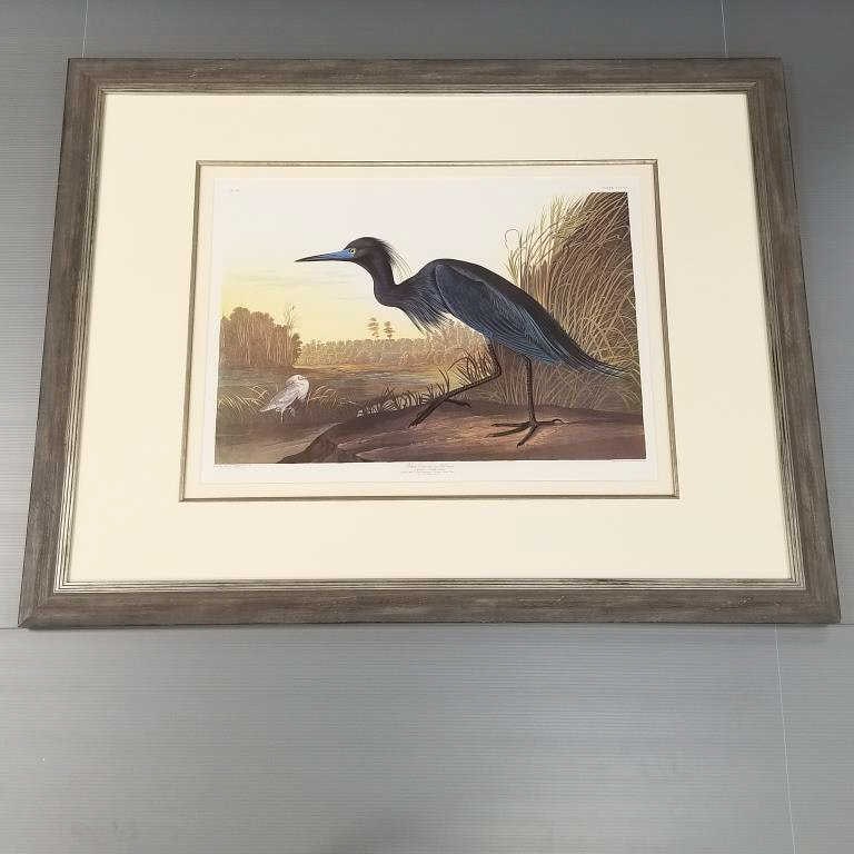 J.J. Audubon Princeton Edition 910/1500 framed Blue Crane lithograph - 39 1/2" x 50 1/2" O.D. (1 of 12)
