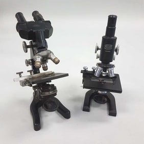2 microscopes - E. Leitz Wetzlar & Spencer Buffalo in case - case measures 14 1/2"x 9"x 8 1/2"