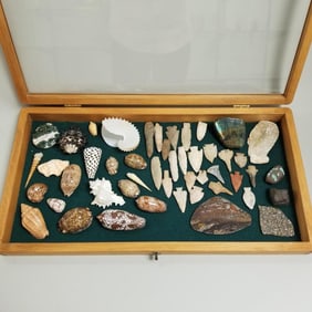 Collection of arrowheads, shells, mineral specimens, etc in wooden case 13"x 25"