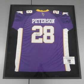 Adrian Peterson, Minnesota Vikings, framed autographed jersey with COA - 37 3/4" x 40 3/4" O.D.