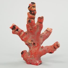 Red coral branch 298 grams, 6" long