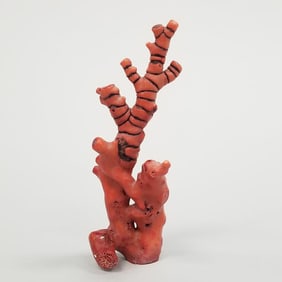 Red coral branch 343 grams, 8 1/2" long