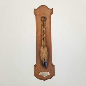 Antique Hermes Paris deer foot trophy plaque with brass tag- 24"L 6 1/2"W (as seen- some wood edge