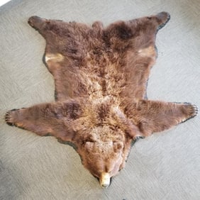 Vintage grizzly bear rug with claws- approx 7' x 8' (as seen- moth damage)
