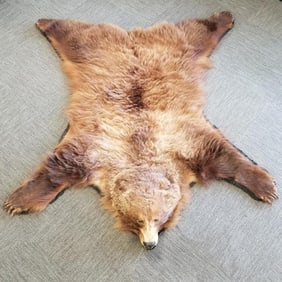 Vintage grizzly bear rug with claws approx. 6 1/2' x 6' (as seen- some claw damages, wear to nose)