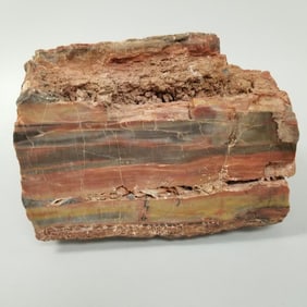 Large 41 lbs petrified wood specimen- 10" x 9 1/2" x 8"