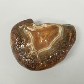 Large 9.5 lbs polished agate specimen w/ banded center- 9 1/2" x 7" x 2 1/2"