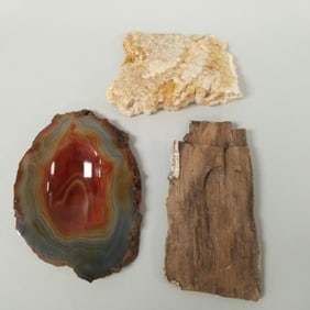 3 pcs rock incl fossilized coral, agate, etc- 7 lbs total weight, 9" longest