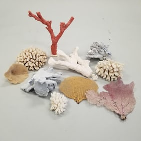Large group asst coral, etc- 17 1/2" longest