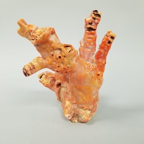 Large coral specimen- 6 lbs, 11 1/2" x 8 1/4" (as seen, some tip damages)