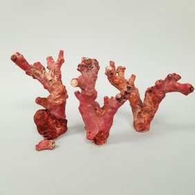 3 coral specimens- 4.5 lbs total weight, assorted sizes, 8 1/2" tallest (as seen, repairs, tip