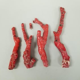 4 coral specimens- 2.5 lbs total weight, assorted sizes, 12" tallest (as seen, glued repairs, tip