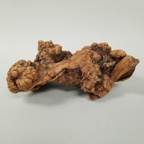 Burl/ root specimen- 5 lbs, 13"L 8 1/2"W 8"H
