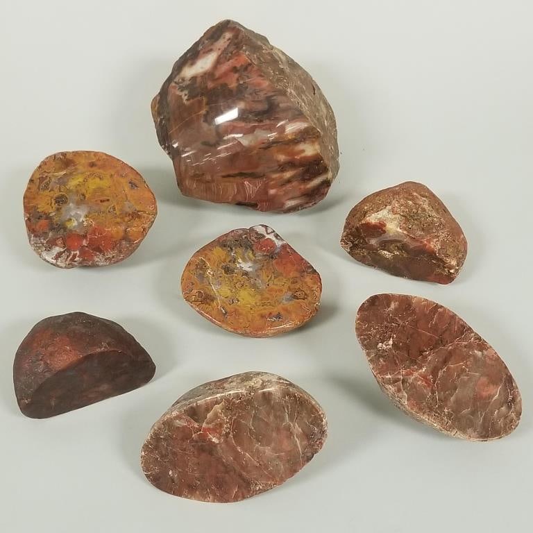 7 rock specimens incl agate, etc- partially polished, 13.5 lbs total weight, 5" largest: 7 rock specimens incl agate, etc- partially polished, 13.5 lbs total weight, 5" largest