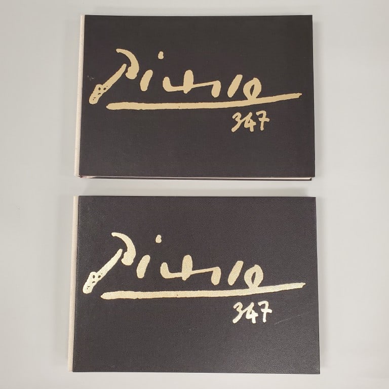 Picasso 347 book set of 2 books in case (case as seen) 17 1/2"H 12 1/2"W 3 1/4"D (1 of 20)