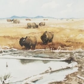 Mick Harrison signed and dated 1980 watercolor "Big Muddy Buffalo Country" 15 7/8"H 19"W framed O.D.