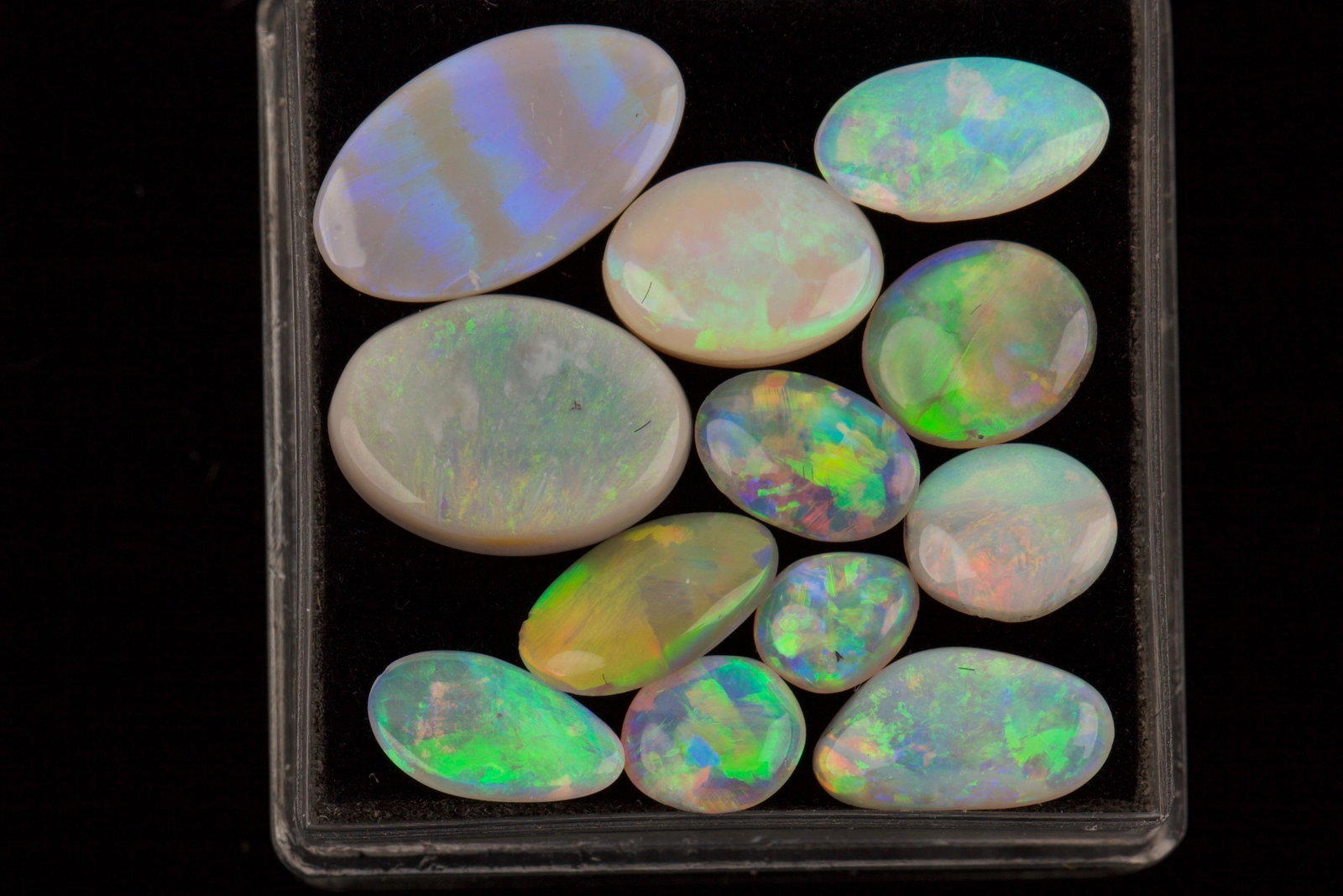 Twelve Solid Australian Opals: Twelve Solid Australian Opals 7.5ct Opal