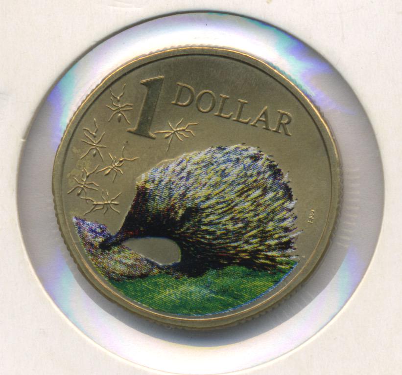2008 Australian One Dollar Coin feat. Coloured Echidna: Coloured Echidna Australian 2008 Two Dollar Coin