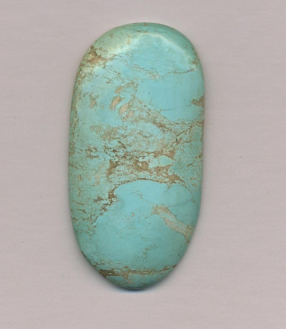 Large Polished Turquoise Stone (1 of 2)