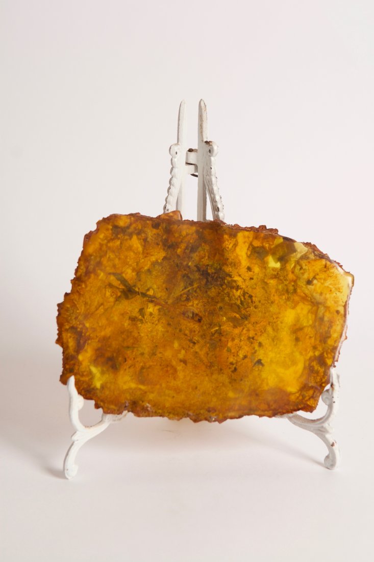 Baltic Amber with Insect Inclusions (1 of 4)