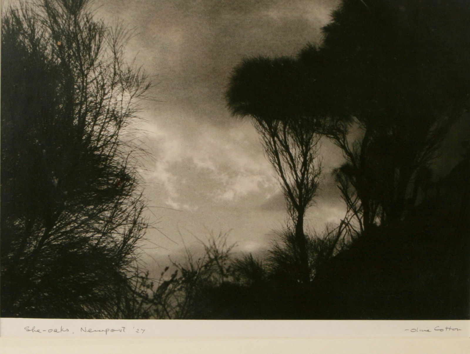 Early OLIVE COTTON - "She-Oaks" (1927) (1 of 2)