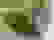 item-97837671=7