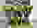 item-97837676=4