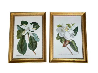 Framed Magnolia Prints, Set of 2: 18.5w x 24.75h