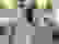 item-97837684=5