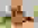 item-97837708=2