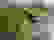 item-97837712=5