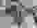 item-97837713=3