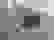item-97837752=3
