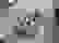 item-97837758=5