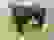 item-97837760=5
