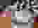 item-98408928=6