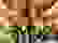 item-98408931=8