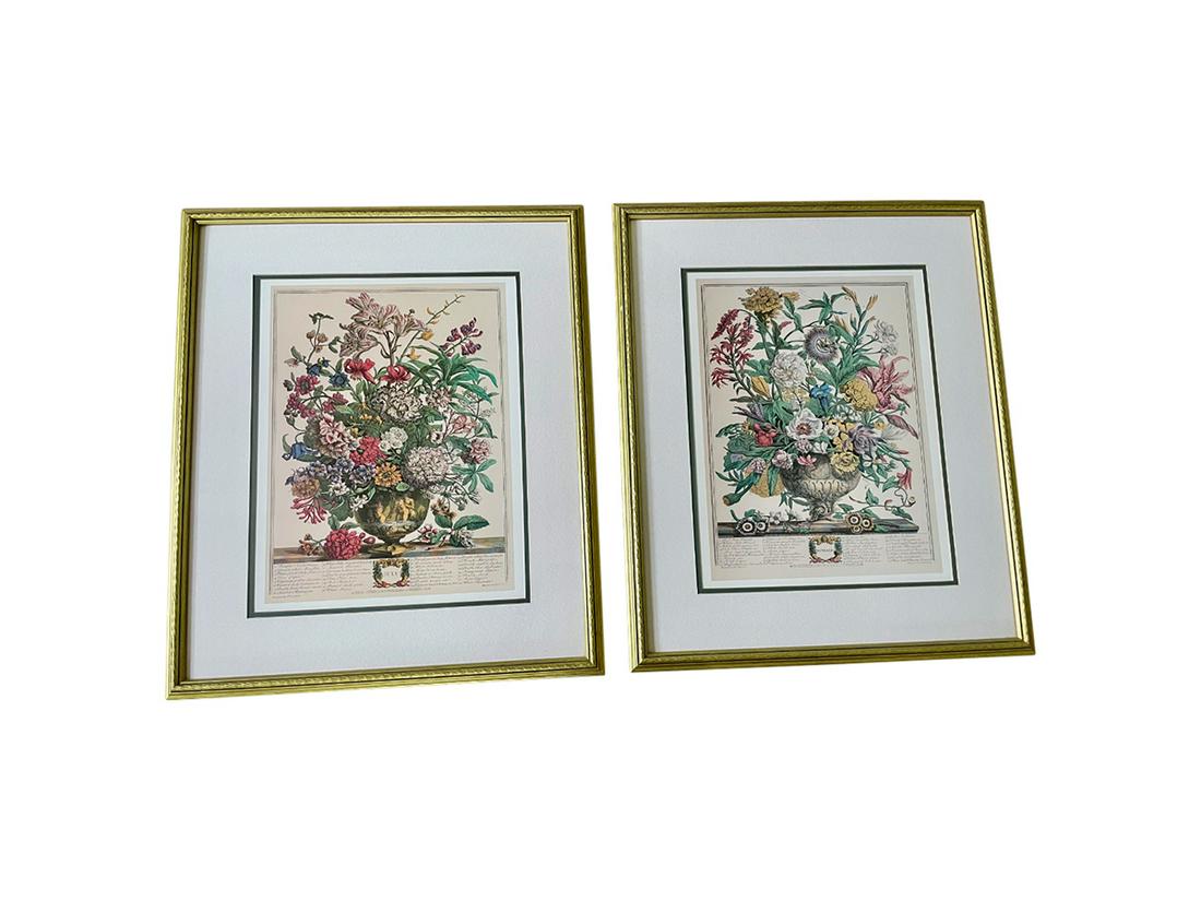 Robert Furber, Twelve Months of Flowers, September and July, set of two (1 of 8)