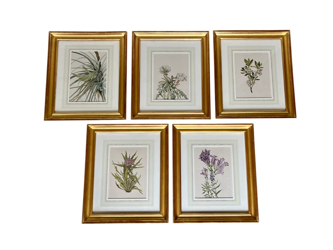 Gold Framed Botanicals, Set of 5 (1 of 5)