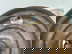 item-208804046=14