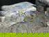 item-208804071=15