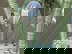item-208804086=6