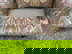 item-208804124=9